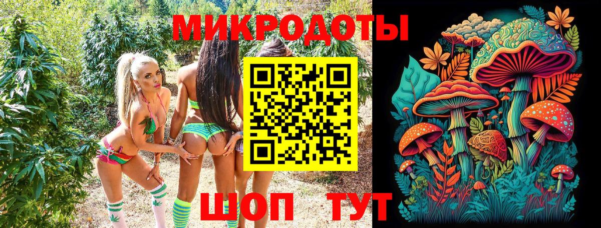 Псилоцибиновые грибы Psilocybine cubensis  Вход с VPN  Псилоцибиновые грибы ЛСД  Ставрополь 